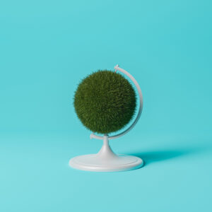 Furry hoodeds parkas